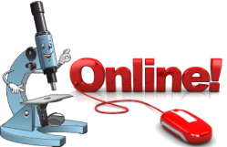 Аналізи on-line